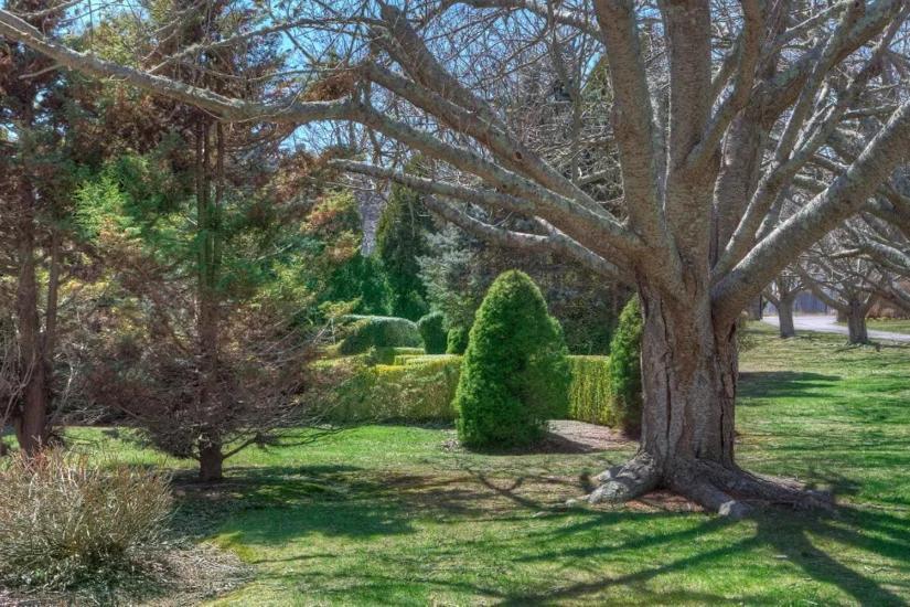 The Hamilton Hoppin House, Villa 120 Newport, Ri Мидълтаун Екстериор снимка