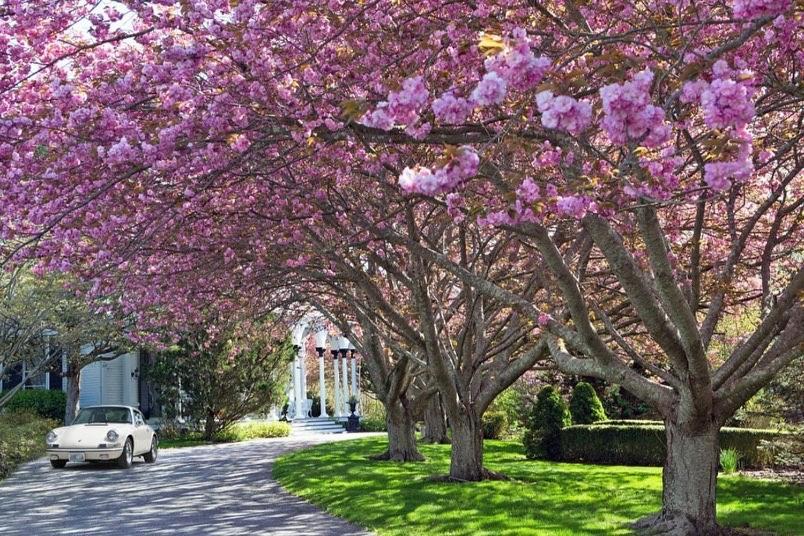 The Hamilton Hoppin House, Villa 120 Newport, Ri Мидълтаун Екстериор снимка
